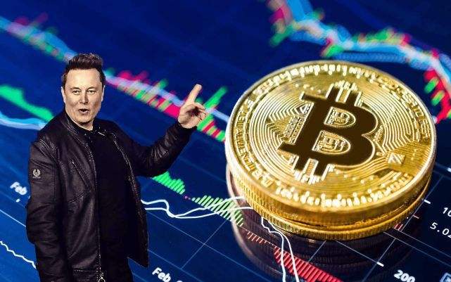 比特币鱼池观察者链接在哪里找,比特币鱼池 比特币鱼池观察者链接在哪里找,比特币鱼池