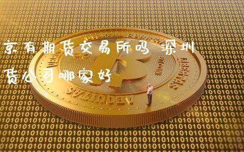 中国金融期货交易所股份有限公司，期货贸易交易所是什么机构